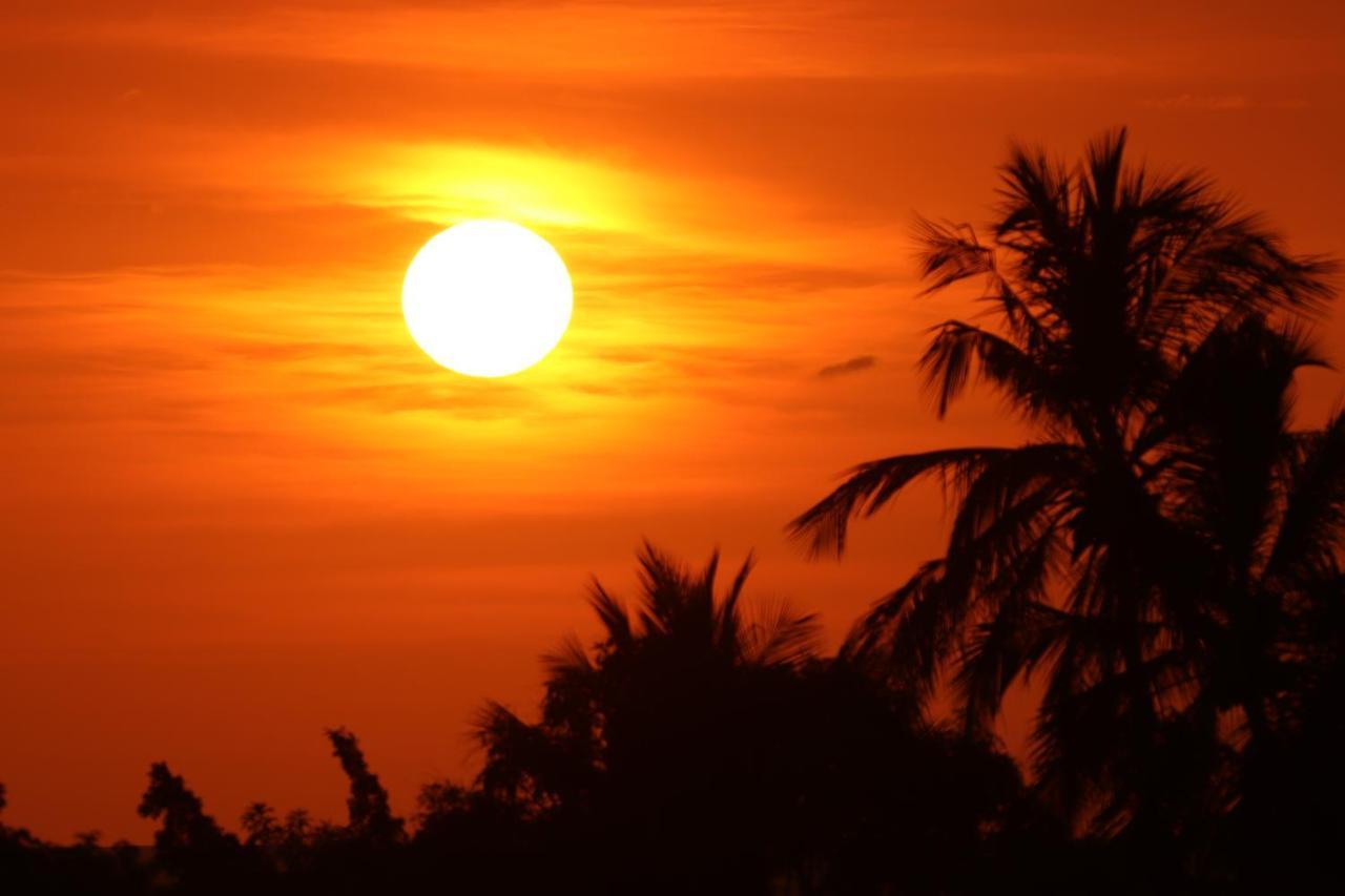 Nahualli Hostel Tamarindo Eksteriør bilde