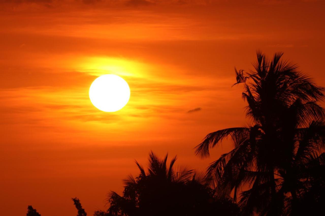 Nahualli Hostel Tamarindo Eksteriør bilde